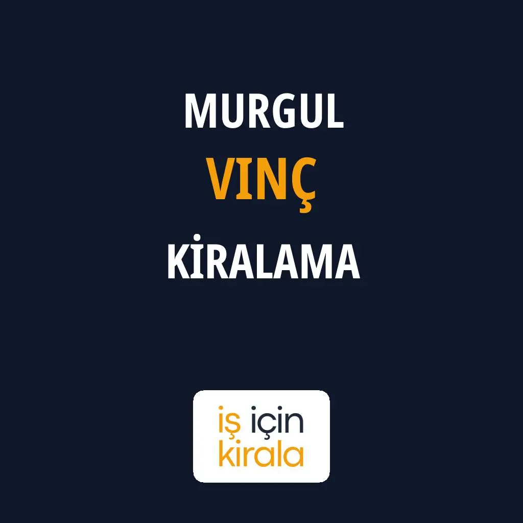 Murgul Vinç Kiralama Firmaları