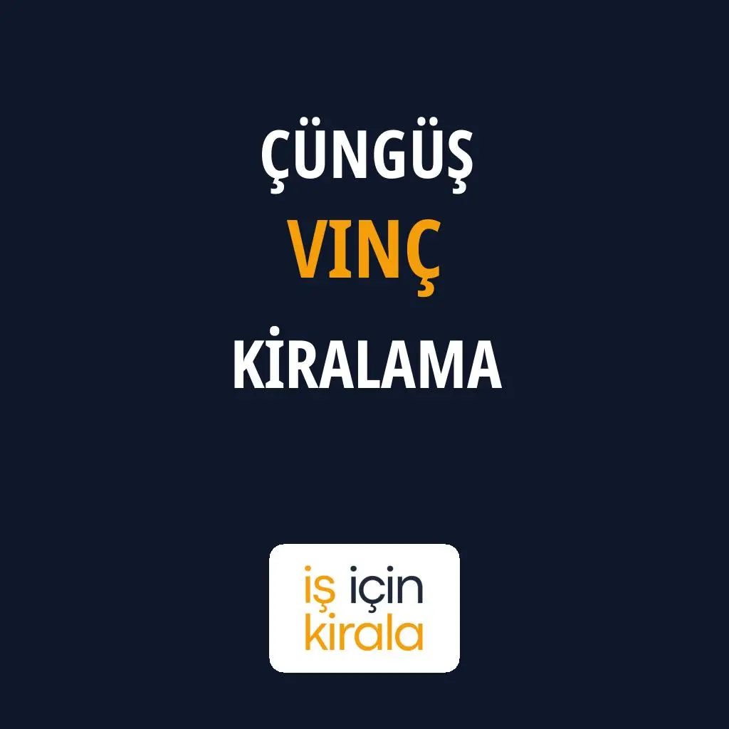 Çüngüş Vinç Kiralama Firmaları