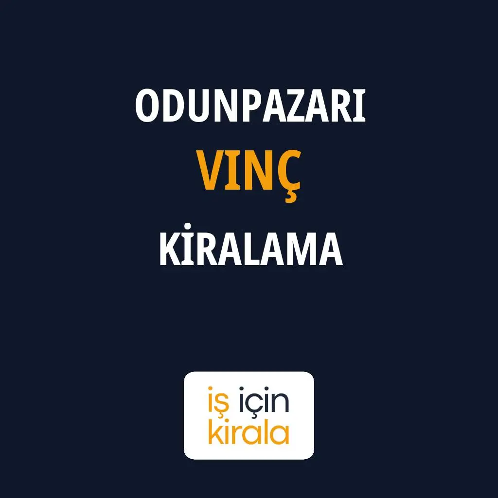 Odunpazarı Vinç Kiralama Firmaları