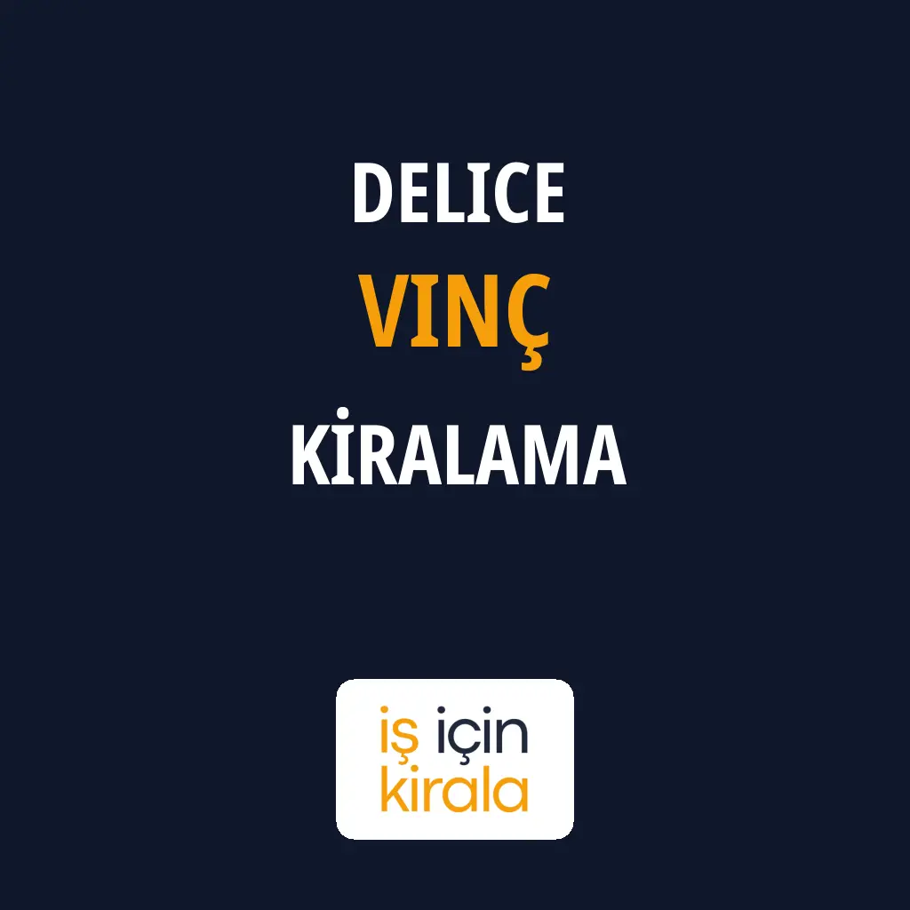Delice Vinç Kiralama Firmaları