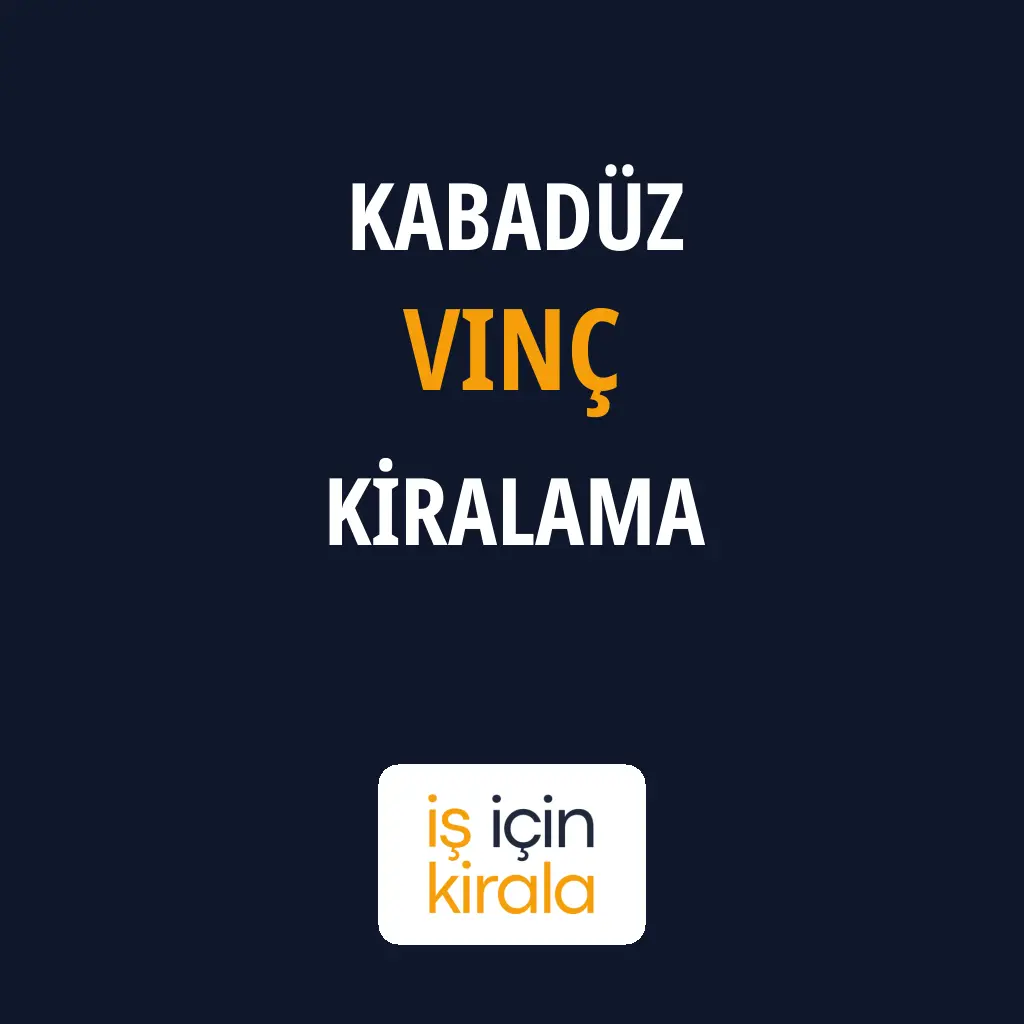 Kabadüz Vinç Kiralama Firmaları