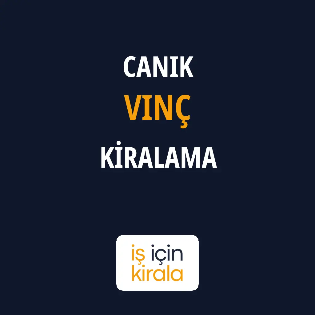 Canik Vinç Kiralama Firmaları